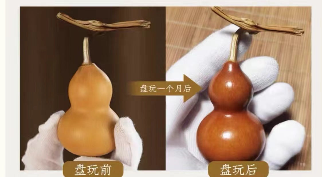 Purple skin gourd